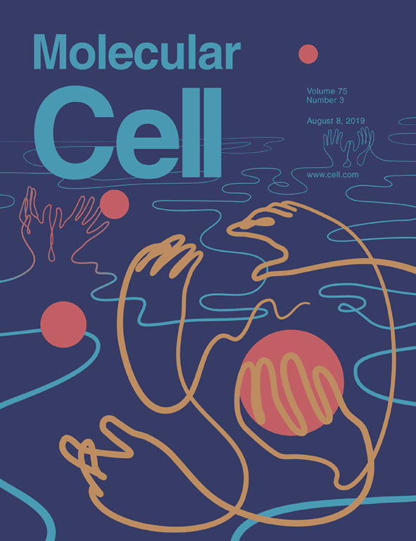 Mol Cell 2019 cover