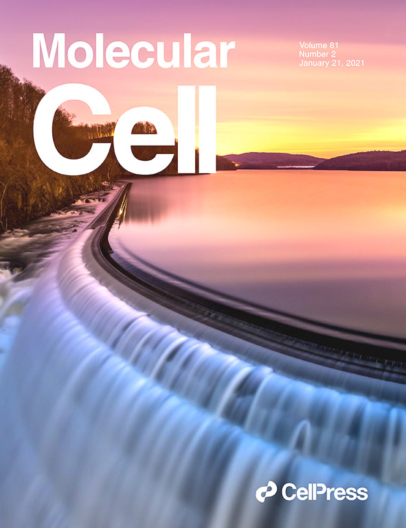 Mol Cell 2020 cover